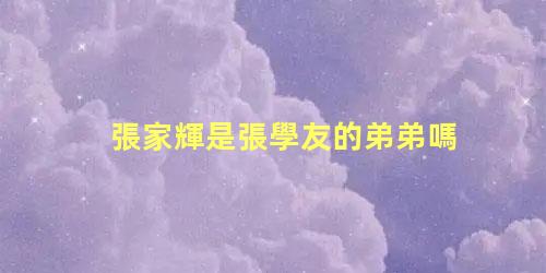 張家輝是張學友的弟弟嗎？張學友和張家輝是親兄弟
